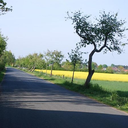 Ferienwohnung Im Gruenen - Hof Blohme Langwedel  Ngoại thất bức ảnh