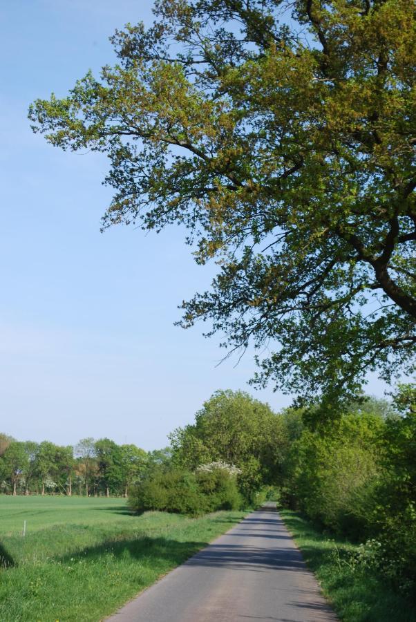 Ferienwohnung Im Gruenen - Hof Blohme Langwedel  Ngoại thất bức ảnh